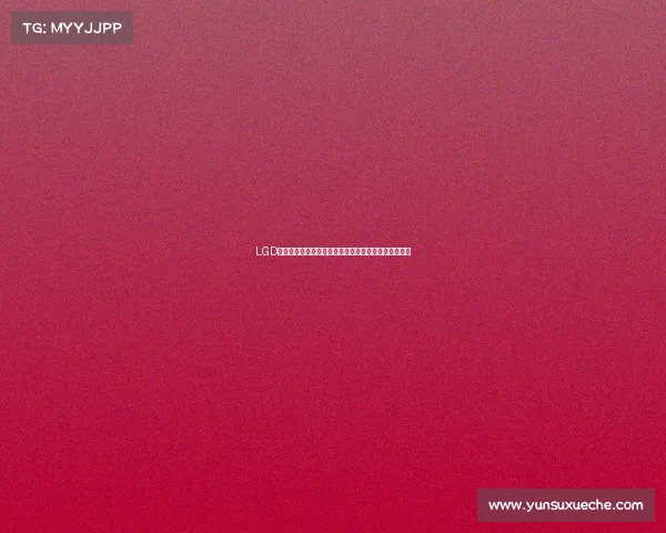 LGD总经理专访：揭秘破局之道，新赛季将采取三步走战略